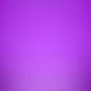 Meet your Posher, Kendall